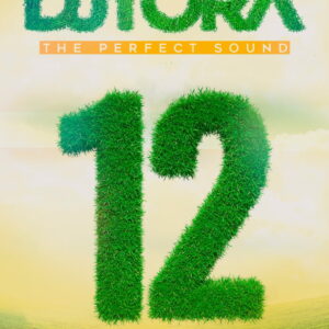 DJ TORA - THE PERFECT SOUND 12