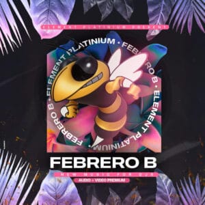 Element Cds: Febrero B 2025