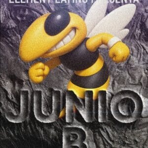 Element Cds: Junio B 2025